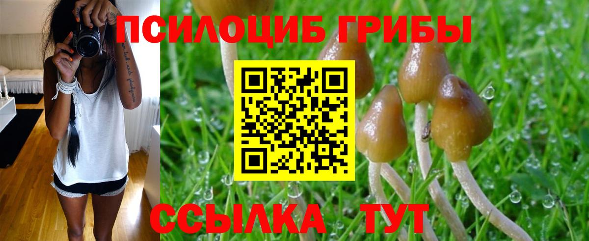 что такое   Вход с VPN  Советск  Псилоцибиновые грибы Psilocybe  Галлюциногенные грибы ЛСД 